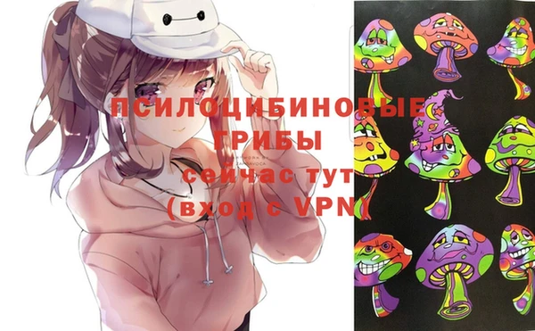 МДПВ Белокуриха
