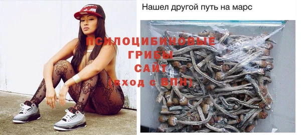 МДПВ Белокуриха