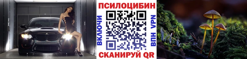 Галлюциногенные грибы Cubensis  Купить закладки  Вичуга 